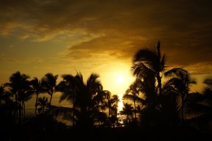The Day Ends - Tropical Sunset 